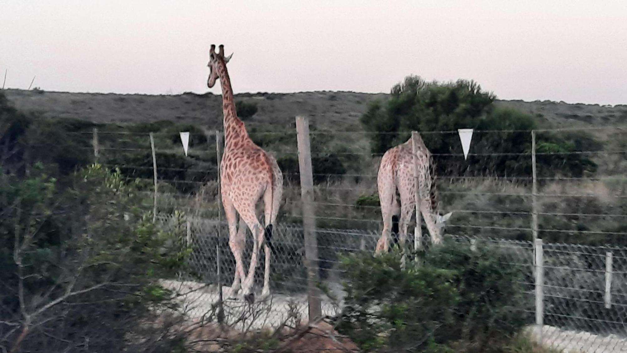 Ons Fontein Villa Langebaan Eksteriør bilde